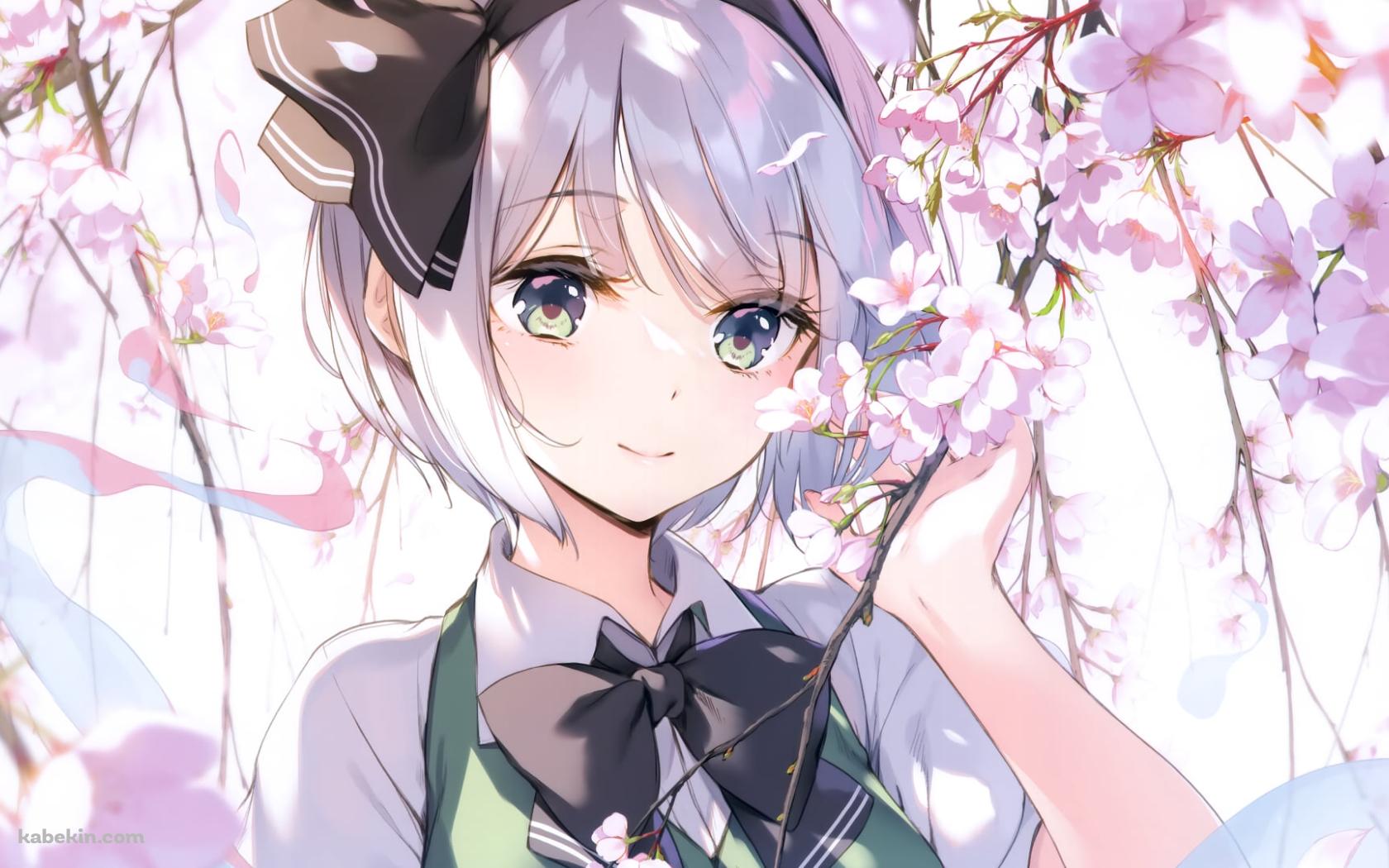 桜の花とかわいい魂魄妖夢（こんぱく ようむ） / 春 / 東方の壁紙(1680px x 1050px) 高画質 PC・デスクトップ用