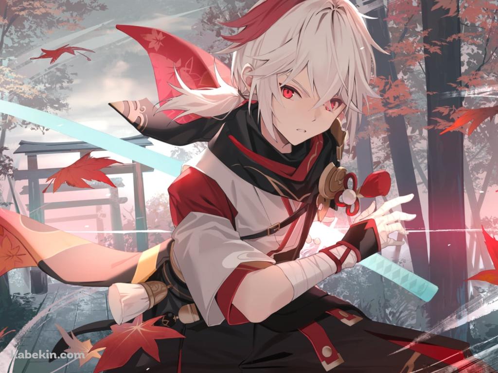 舞い散る楓の中、居合切りするかっこいい楓原万葉 / 原神の壁紙(1024px x 768px) 高画質 PC・デスクトップ用