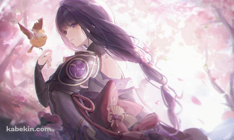 雷電将軍と黄色い可愛い鳥 / 綺麗 / 原神の壁紙(800px x 480px) 高画質 PC・デスクトップ用