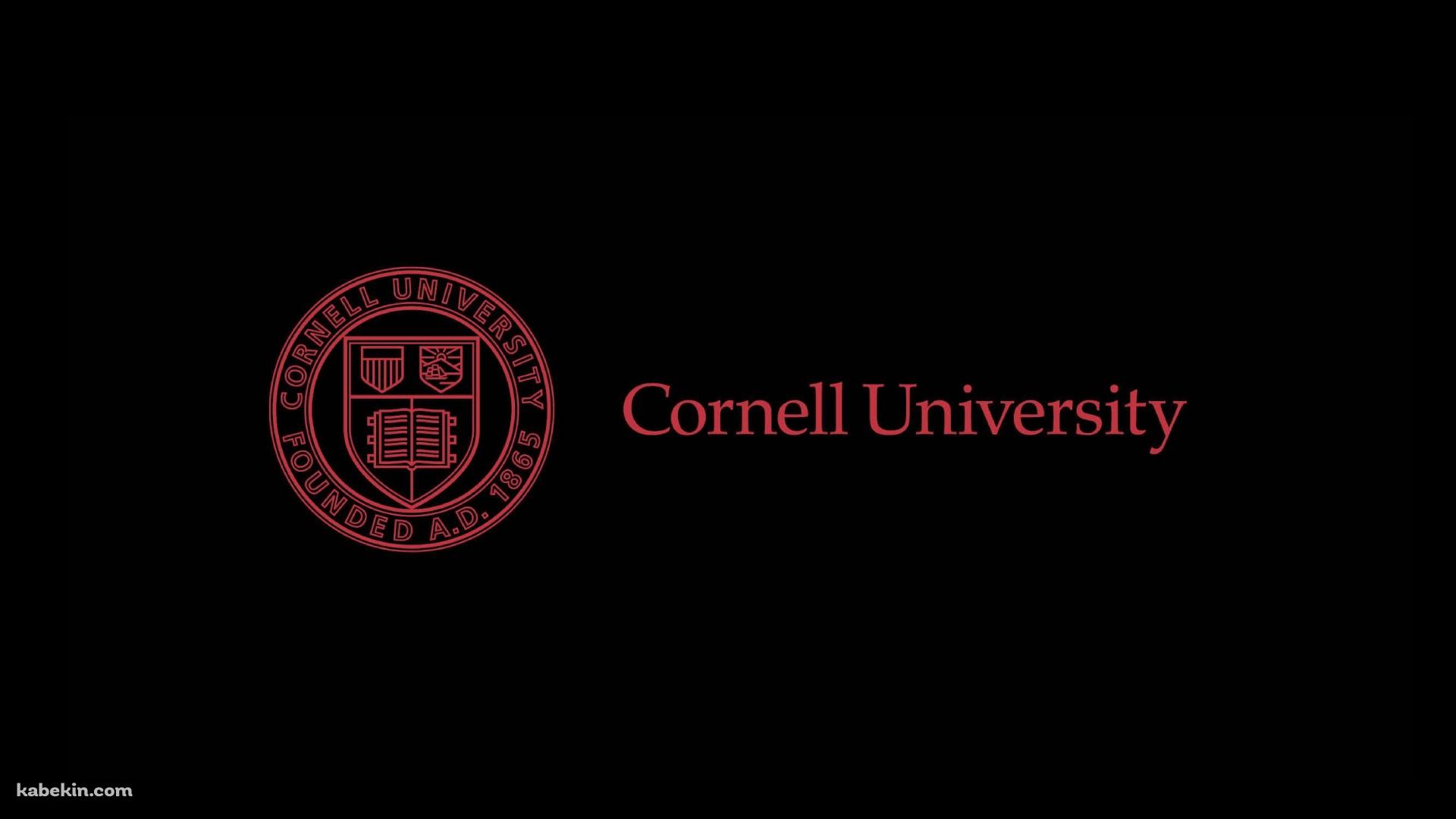 コーネル大学 / cornell universityの壁紙(1920px x 1080px) 高画質 PC・デスクトップ用