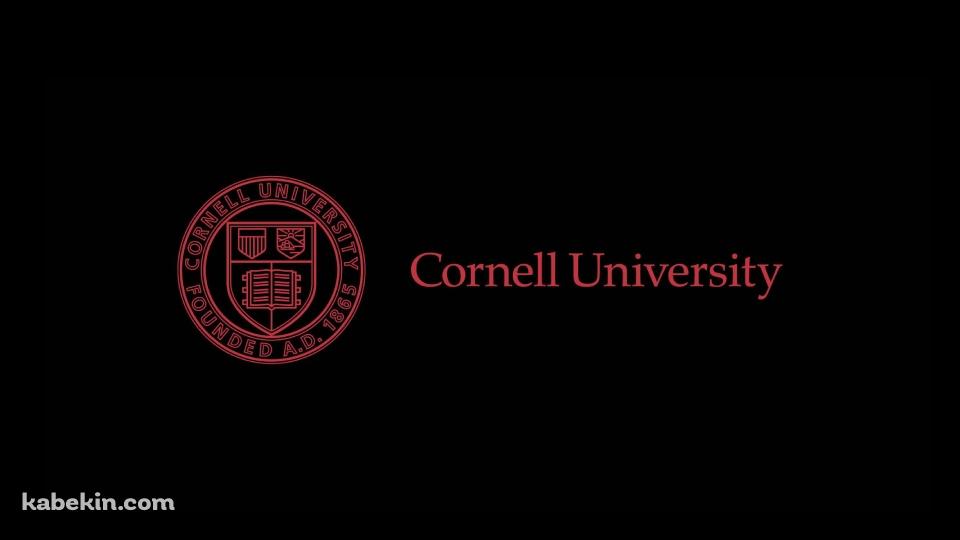 コーネル大学 / cornell universityの壁紙(960px x 540px) 高画質 PC・デスクトップ用