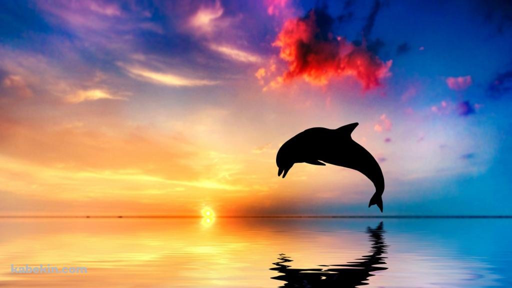 ジャンプするイルカと朝焼けに染まる鮮やかな海の壁紙(1024px x 576px) 高画質 PC・デスクトップ用