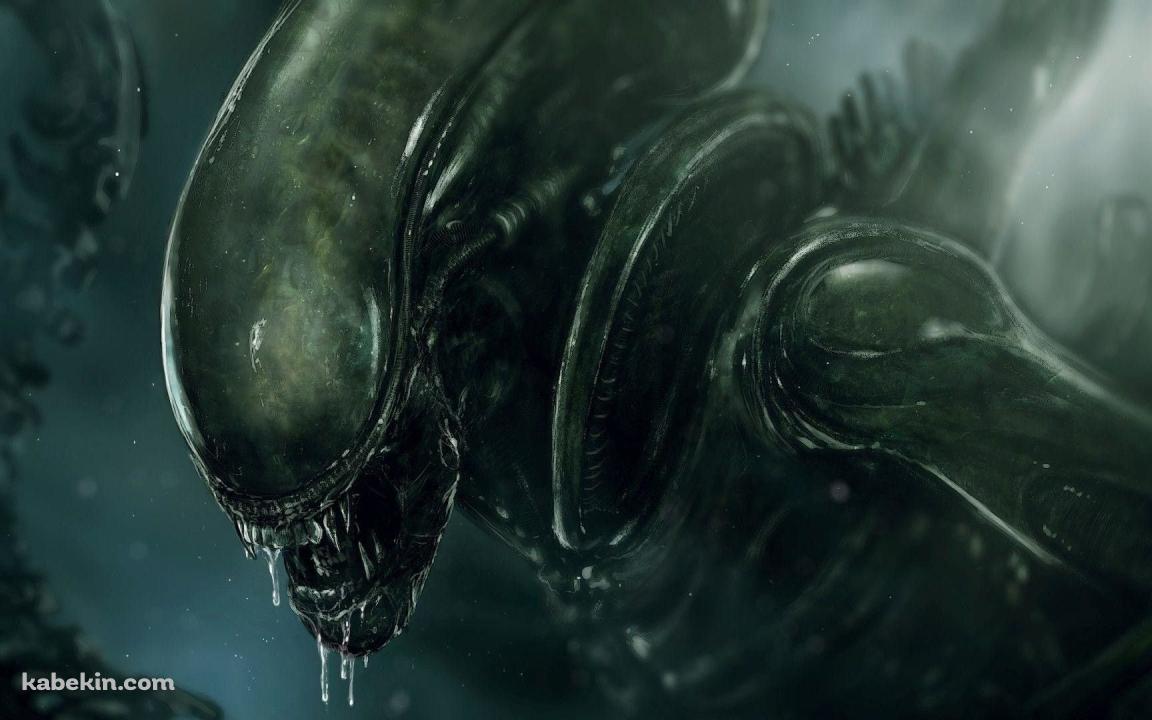 迫力あるエイリアン / Xenomorphの壁紙(1152px x 720px) 高画質 PC・デスクトップ用