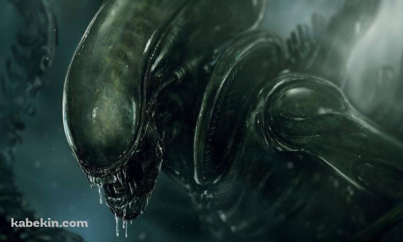 迫力あるエイリアン / Xenomorphの壁紙(800px x 480px) 高画質 PC・デスクトップ用