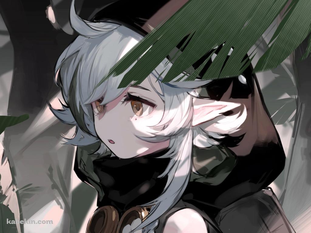 黒いフードを被るトミミ / アークナイツの壁紙(1024px x 768px) 高画質 PC・デスクトップ用