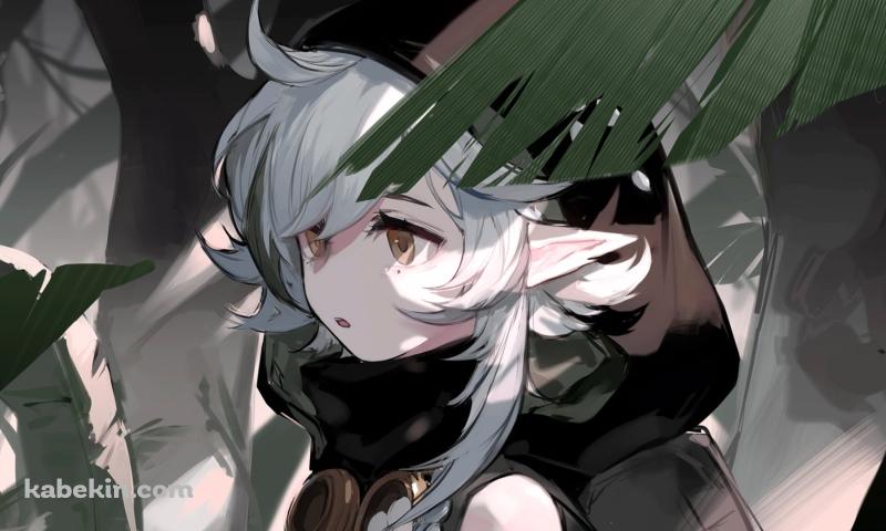 黒いフードを被るトミミ / アークナイツの壁紙(800px x 480px) 高画質 PC・デスクトップ用