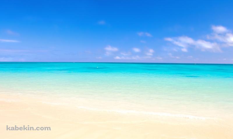 透明度の高い沖縄の海 / 慶良間諸島のビーチ / 夏の壁紙(800px x 480px) 高画質 PC・デスクトップ用