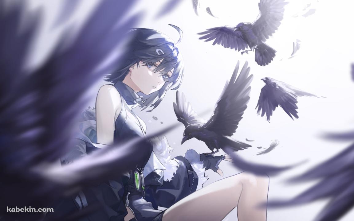 黒いカラスの群れとこちらを見るラ・プルマ / アークナイツの壁紙(1152px x 720px) 高画質 PC・デスクトップ用