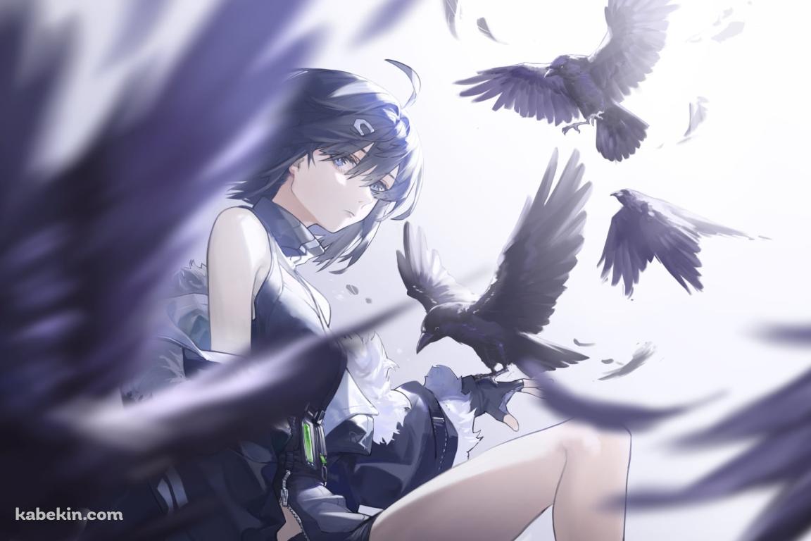 黒いカラスの群れとこちらを見るラ・プルマ / アークナイツの壁紙(1152px x 768px) 高画質 PC・デスクトップ用