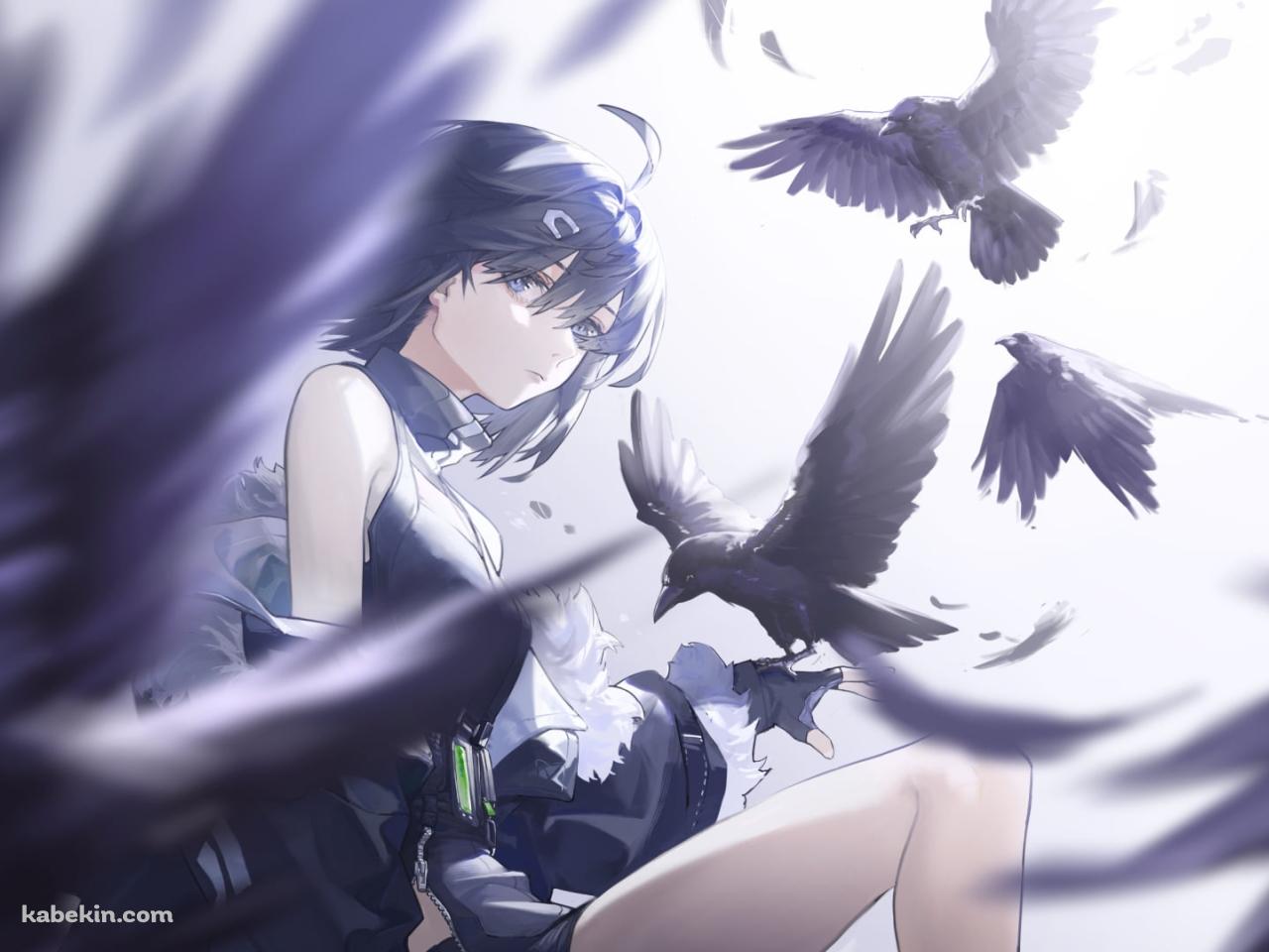 黒いカラスの群れとこちらを見るラ・プルマ / アークナイツの壁紙(1280px x 960px) 高画質 PC・デスクトップ用