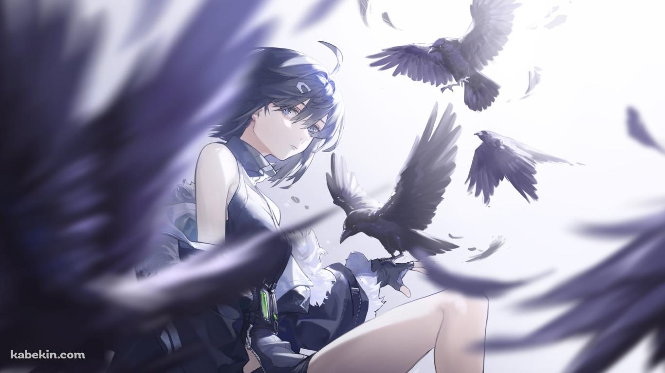 黒いカラスの群れとこちらを見るラ・プルマ / アークナイツの壁紙(1366px x 768px) 高画質 PC・デスクトップ用