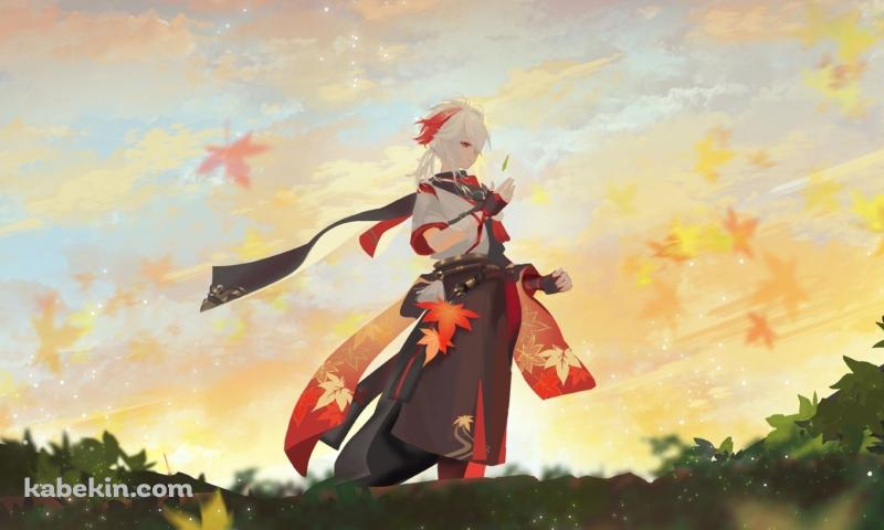 秋空と紅葉と楓原万葉 / 原神の壁紙(800px x 480px) 高画質 PC・デスクトップ用