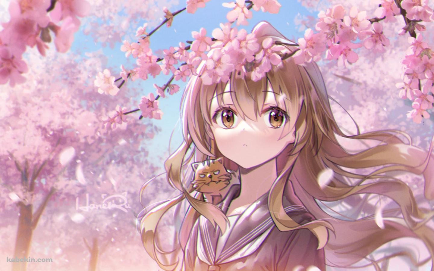 桜の花見をする逢坂大河 (あいさか たいが) / とらドラ！の壁紙(1440px x 900px) 高画質 PC・デスクトップ用