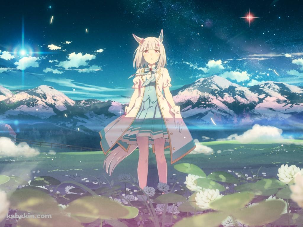 白い花が咲く中に佇む可愛いハッピーウィーク / 雪山 / ウマ娘プリティーダービーの壁紙(1024px x 768px) 高画質 PC・デスクトップ用