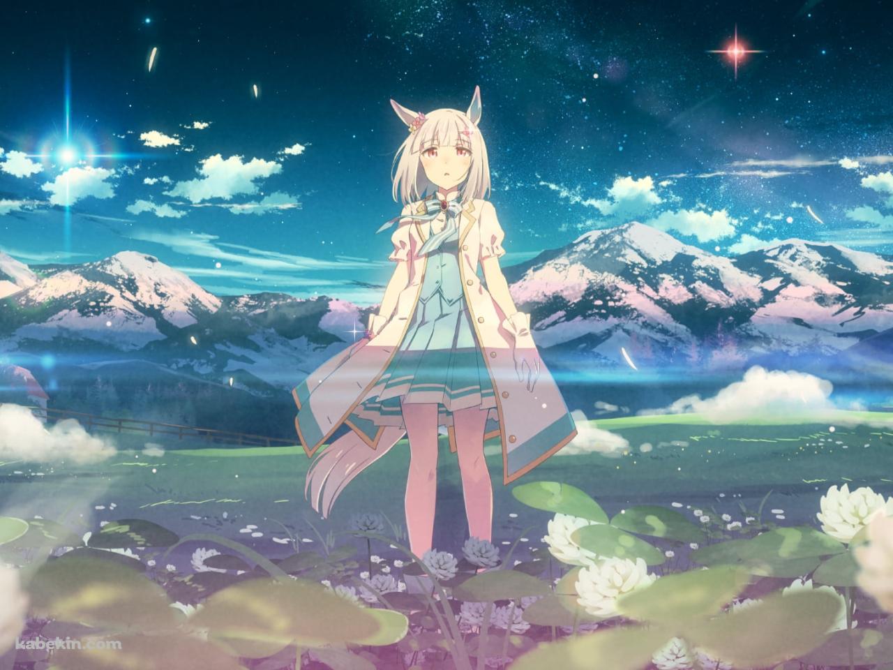 白い花が咲く中に佇む可愛いハッピーウィーク / 雪山 / ウマ娘プリティーダービーの壁紙(1280px x 960px) 高画質 PC・デスクトップ用