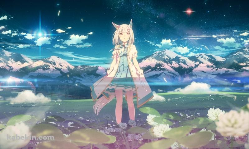 白い花が咲く中に佇む可愛いハッピーウィーク / 雪山 / ウマ娘プリティーダービーの壁紙(800px x 480px) 高画質 PC・デスクトップ用