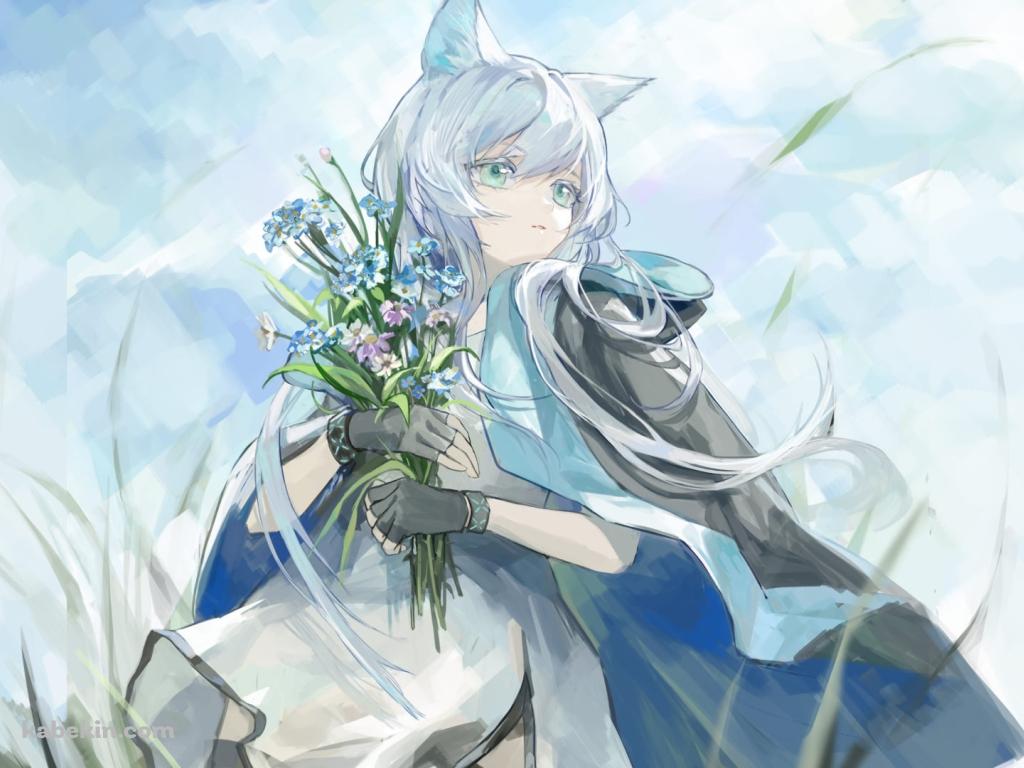 草原で青・紫の花を摘むロスモンティス / アークナイツの壁紙(1024px x 768px) 高画質 PC・デスクトップ用