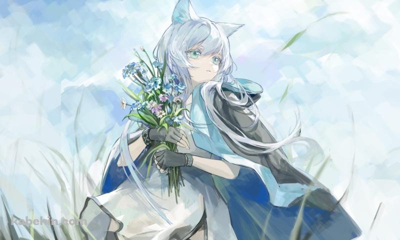 草原で青・紫の花を摘むロスモンティス / アークナイツの壁紙(800px x 480px) 高画質 PC・デスクトップ用