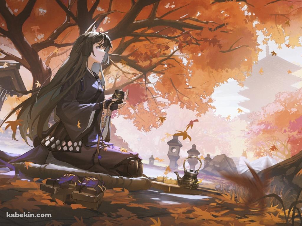 紅葉の下で正座をしてお茶を飲むサガ / アークナイツの壁紙(1024px x 768px) 高画質 PC・デスクトップ用