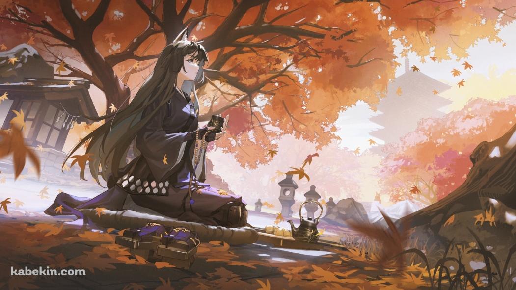 紅葉の下で正座をしてお茶を飲むサガ / アークナイツの壁紙(1051px x 591px) 高画質 PC・デスクトップ用