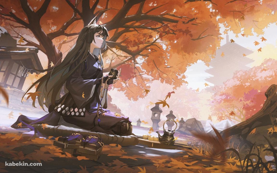 紅葉の下で正座をしてお茶を飲むサガ / アークナイツの壁紙(1152px x 720px) 高画質 PC・デスクトップ用