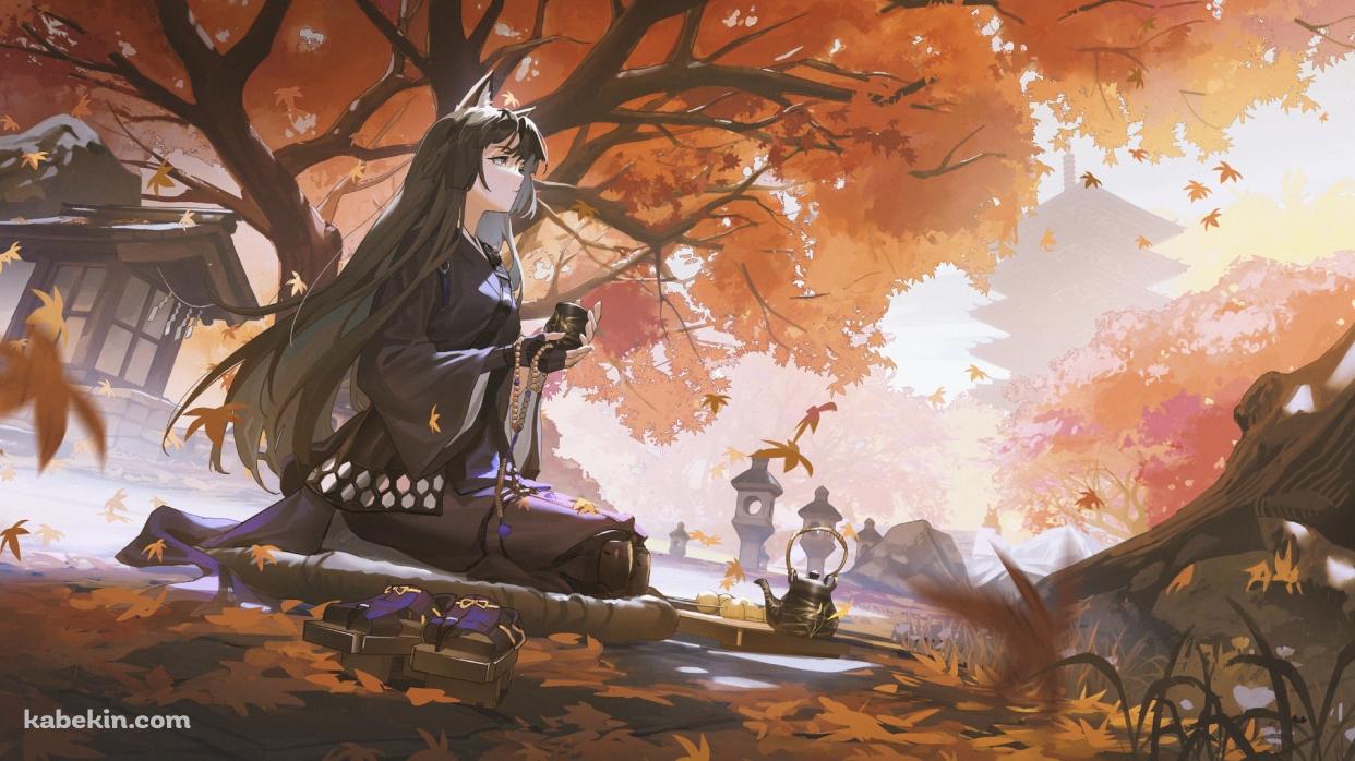 紅葉の下で正座をしてお茶を飲むサガ / アークナイツの壁紙(1242px x 698px) 高画質 PC・デスクトップ用
