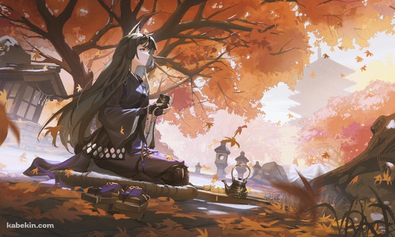 紅葉の下で正座をしてお茶を飲むサガ / アークナイツの壁紙(1280px x 768px) 高画質 PC・デスクトップ用