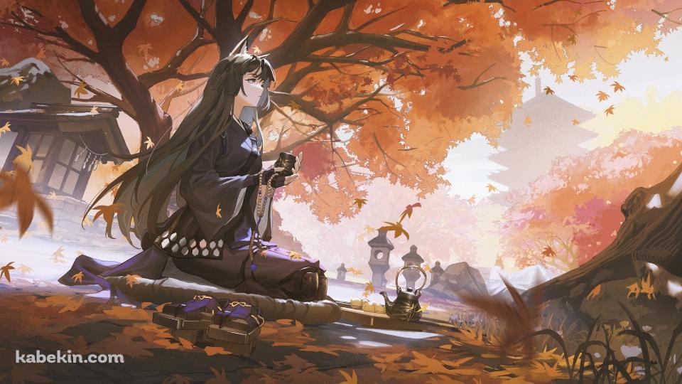 紅葉の下で正座をしてお茶を飲むサガ / アークナイツの壁紙(960px x 540px) 高画質 PC・デスクトップ用