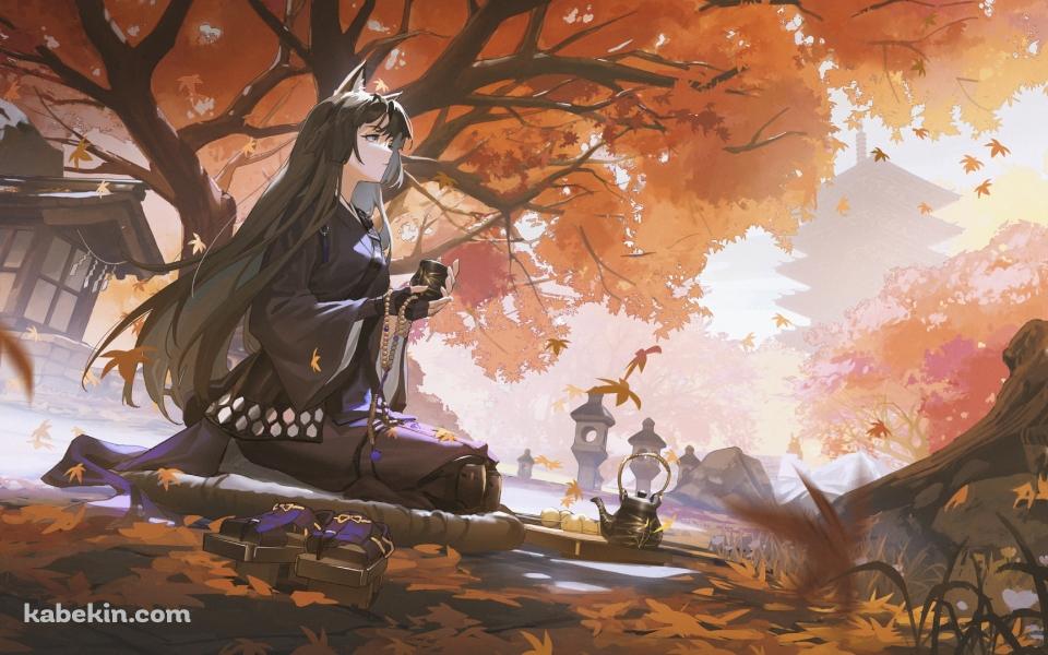 紅葉の下で正座をしてお茶を飲むサガ / アークナイツの壁紙(960px x 600px) 高画質 PC・デスクトップ用