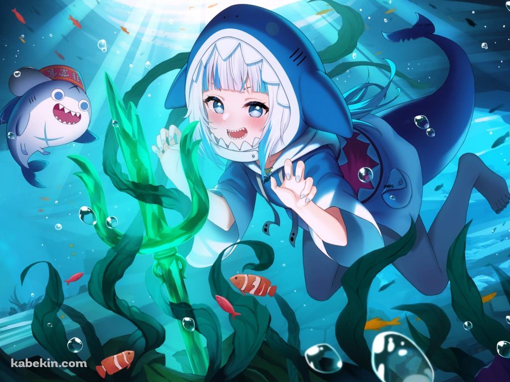 海の中で泳ぐがうる・ぐらとブループ / 熱帯魚 / 海藻 / ホロライブ / バーチャルYouTuber / Vtuberの壁紙(1024px x 768px) 高画質 PC・デスクトップ用