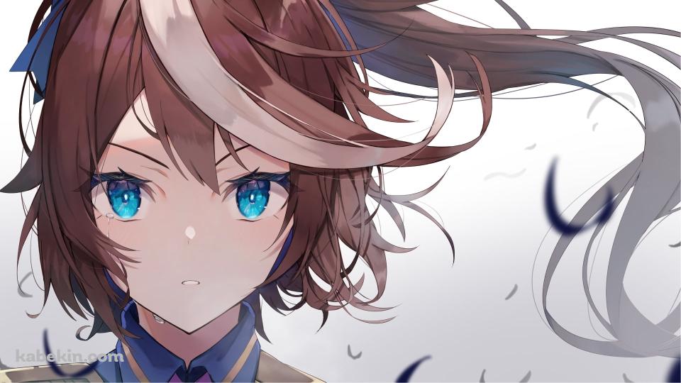 青い瞳の凛々しいトウカイテイオー / ウマ娘プリティーダービーの壁紙(960px x 540px) 高画質 PC・デスクトップ用