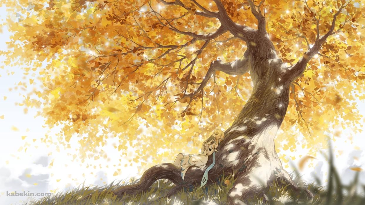 大木の幹に寝そべる蛍 / 紅葉 / 原神の壁紙(1242px x 698px) 高画質 PC・デスクトップ用