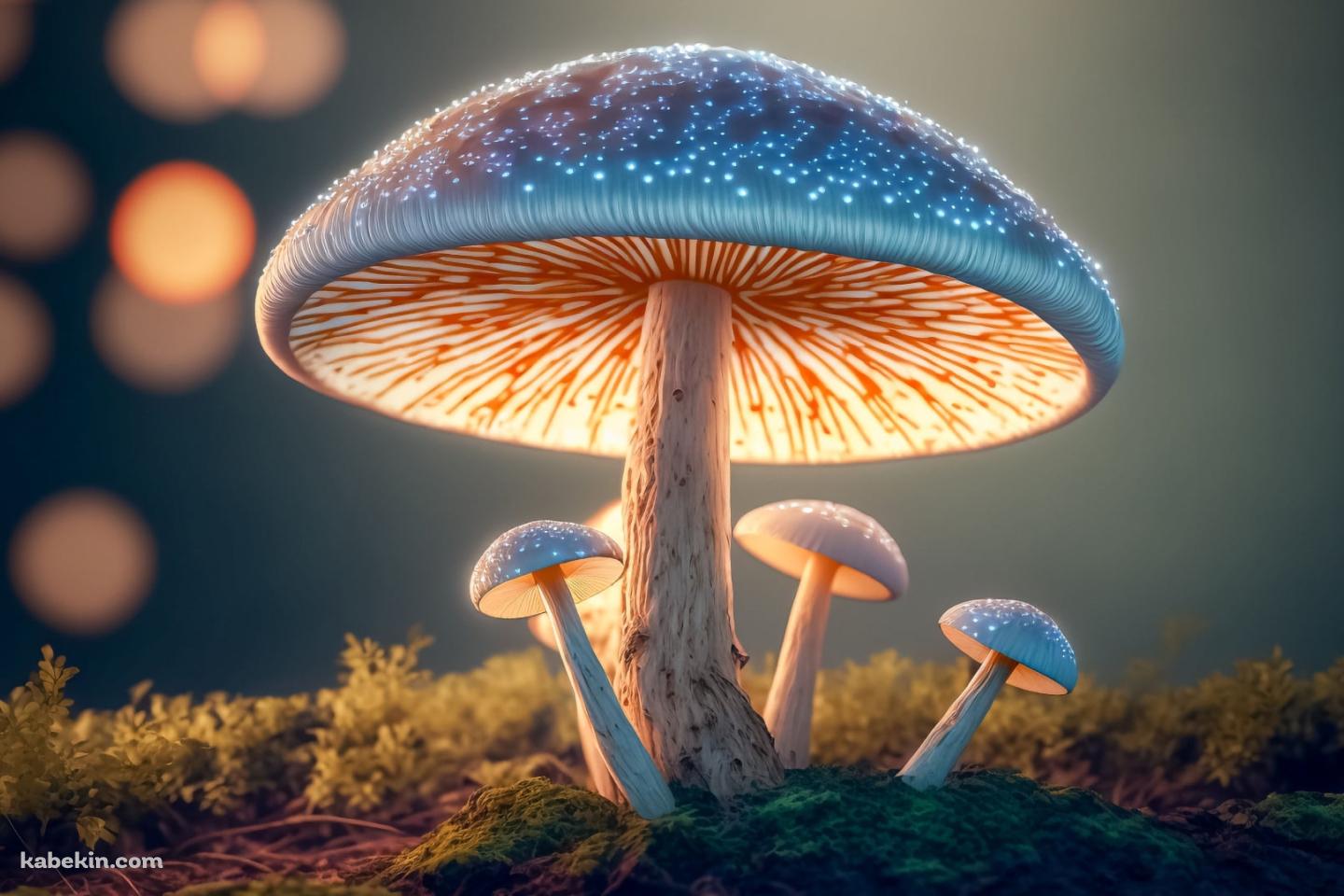 発光するキノコの壁紙(1440px x 960px) 高画質 PC・デスクトップ用