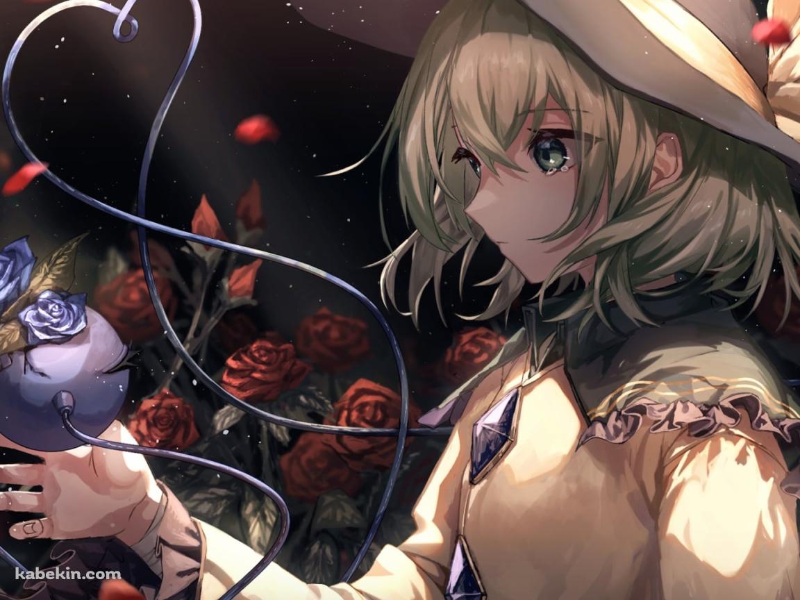 沢山の赤い薔薇と古明地こいし（こめいじ こいし） / 東方の壁紙(1152px x 864px) 高画質 PC・デスクトップ用