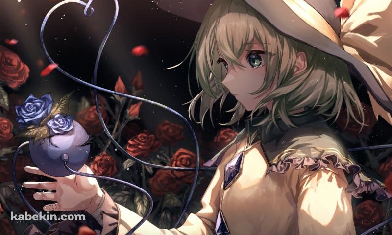 沢山の赤い薔薇と古明地こいし（こめいじ こいし） / 東方の壁紙(800px x 480px) 高画質 PC・デスクトップ用