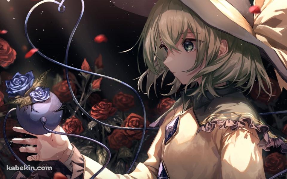 沢山の赤い薔薇と古明地こいし（こめいじ こいし） / 東方の壁紙(960px x 600px) 高画質 PC・デスクトップ用