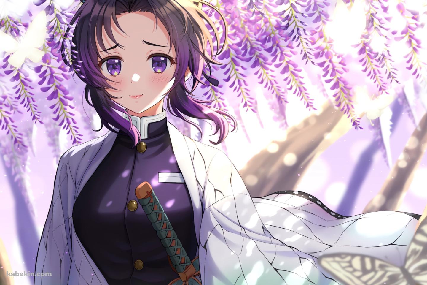 藤の花と可愛い胡蝶しのぶ / アゲハ蝶 / 鬼滅の刃の壁紙(1440px x 960px) 高画質 PC・デスクトップ用