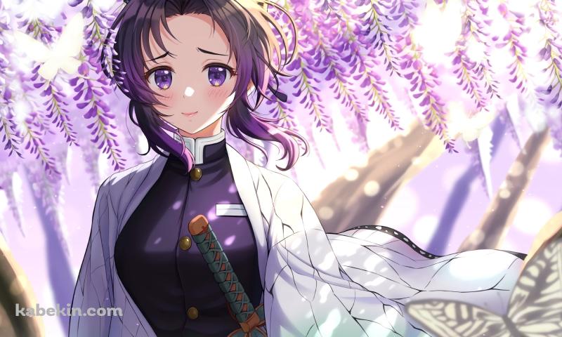 藤の花と可愛い胡蝶しのぶ / アゲハ蝶 / 鬼滅の刃の壁紙(800px x 480px) 高画質 PC・デスクトップ用