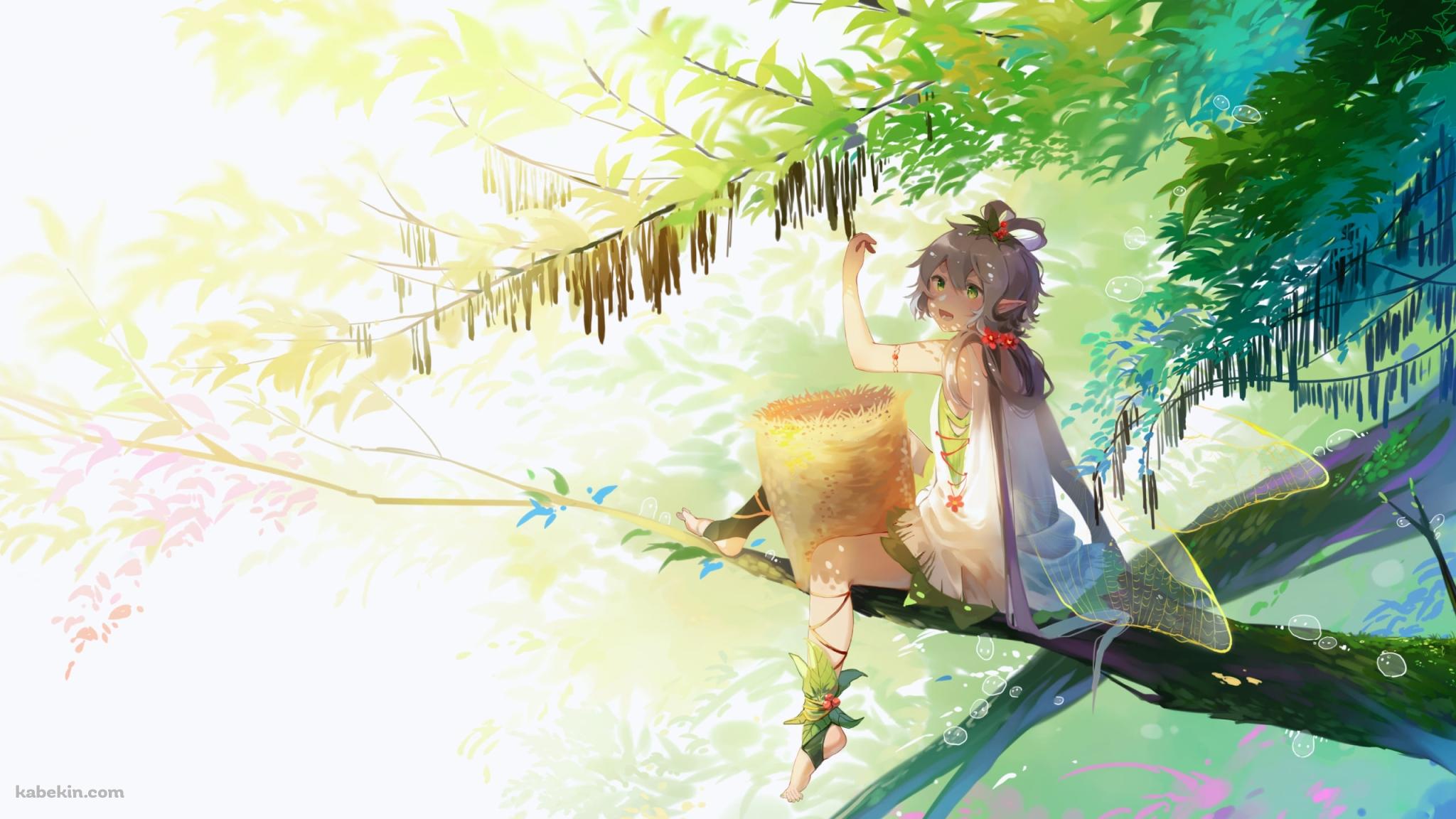 木の上で木の実を収穫する洛天依 / ボカロ / ボーカロイドの壁紙(2048px x 1152px) 高画質 PC・デスクトップ用