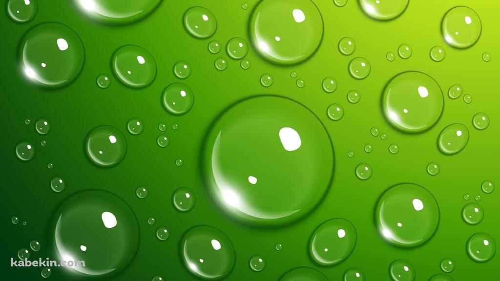 無数の水滴がついた壁 / 綺麗 / 緑の壁紙(1024px x 576px) 高画質 PC・デスクトップ用