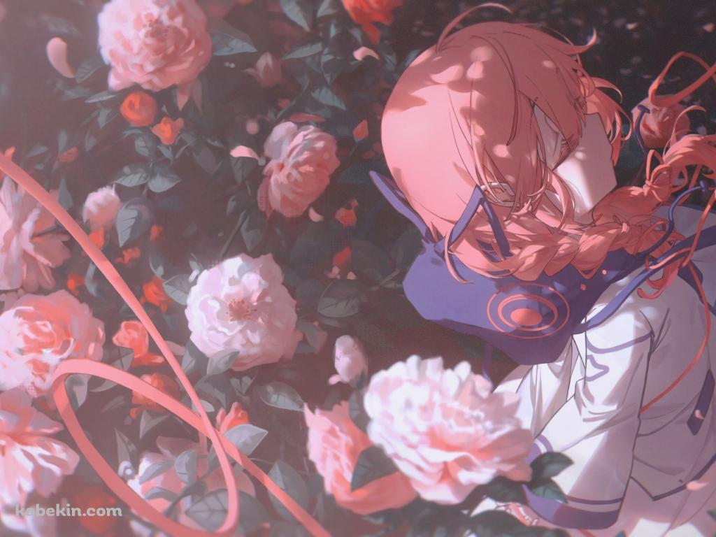 ピンクの薔薇と花譜 / 綺麗 / 神椿スタジオ / バーチャルYouTuberの壁紙(1024px x 768px) 高画質 PC・デスクトップ用