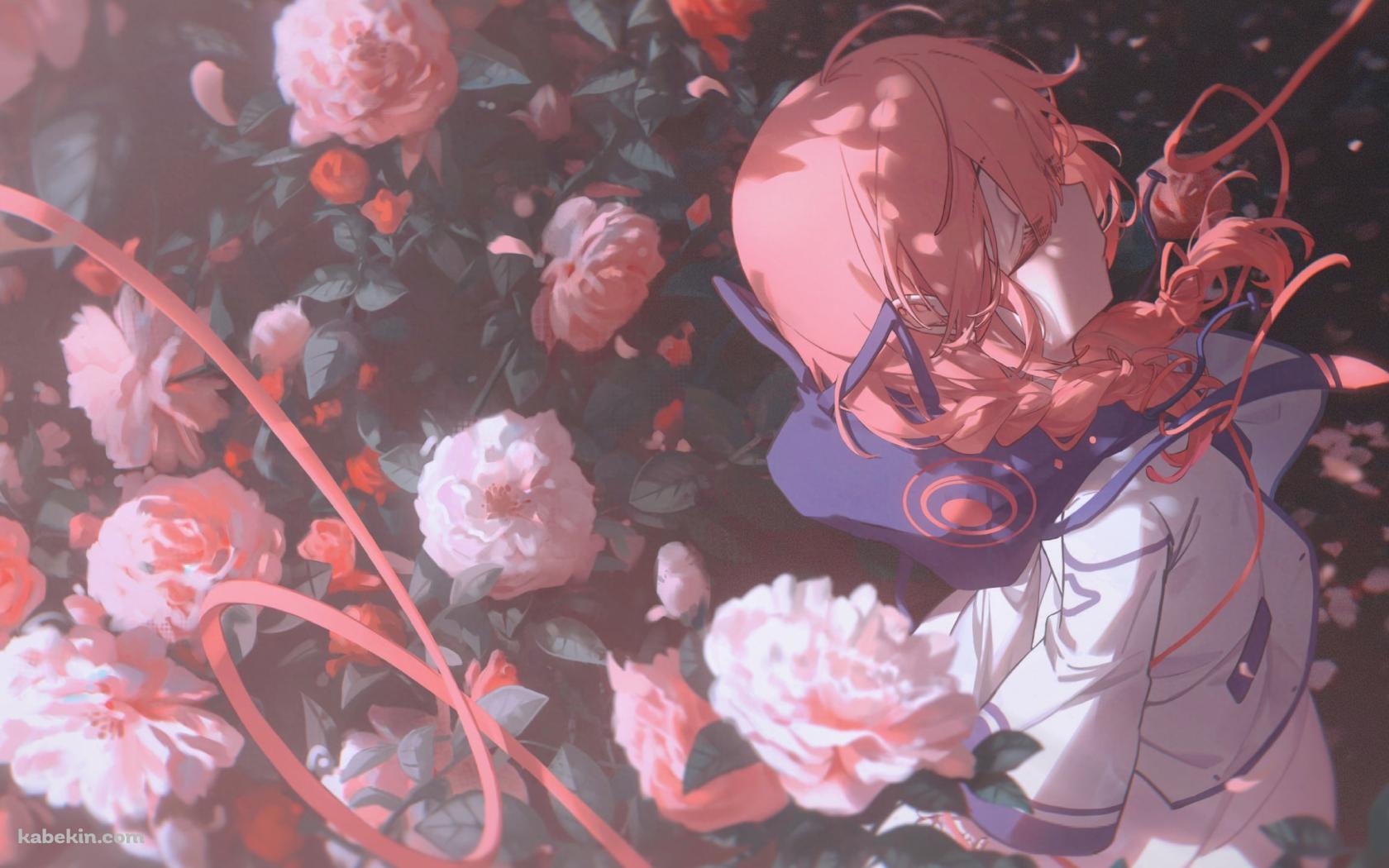 ピンクの薔薇と花譜 / 綺麗 / 神椿スタジオ / バーチャルYouTuberの壁紙(1680px x 1050px) 高画質 PC・デスクトップ用