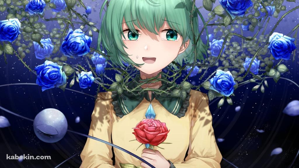 青い薔薇に囲まれた赤い薔薇を持つ古明地こいし / 東方の壁紙(1024px x 576px) 高画質 PC・デスクトップ用