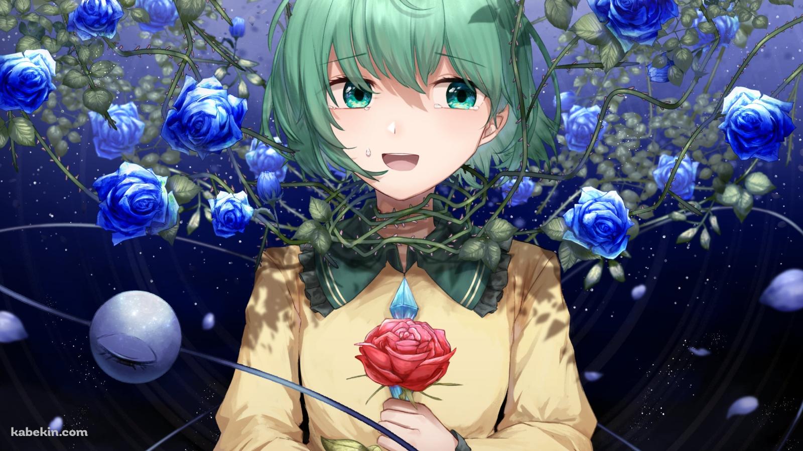 青い薔薇に囲まれた赤い薔薇を持つ古明地こいし / 東方の壁紙(1600px x 900px) 高画質 PC・デスクトップ用