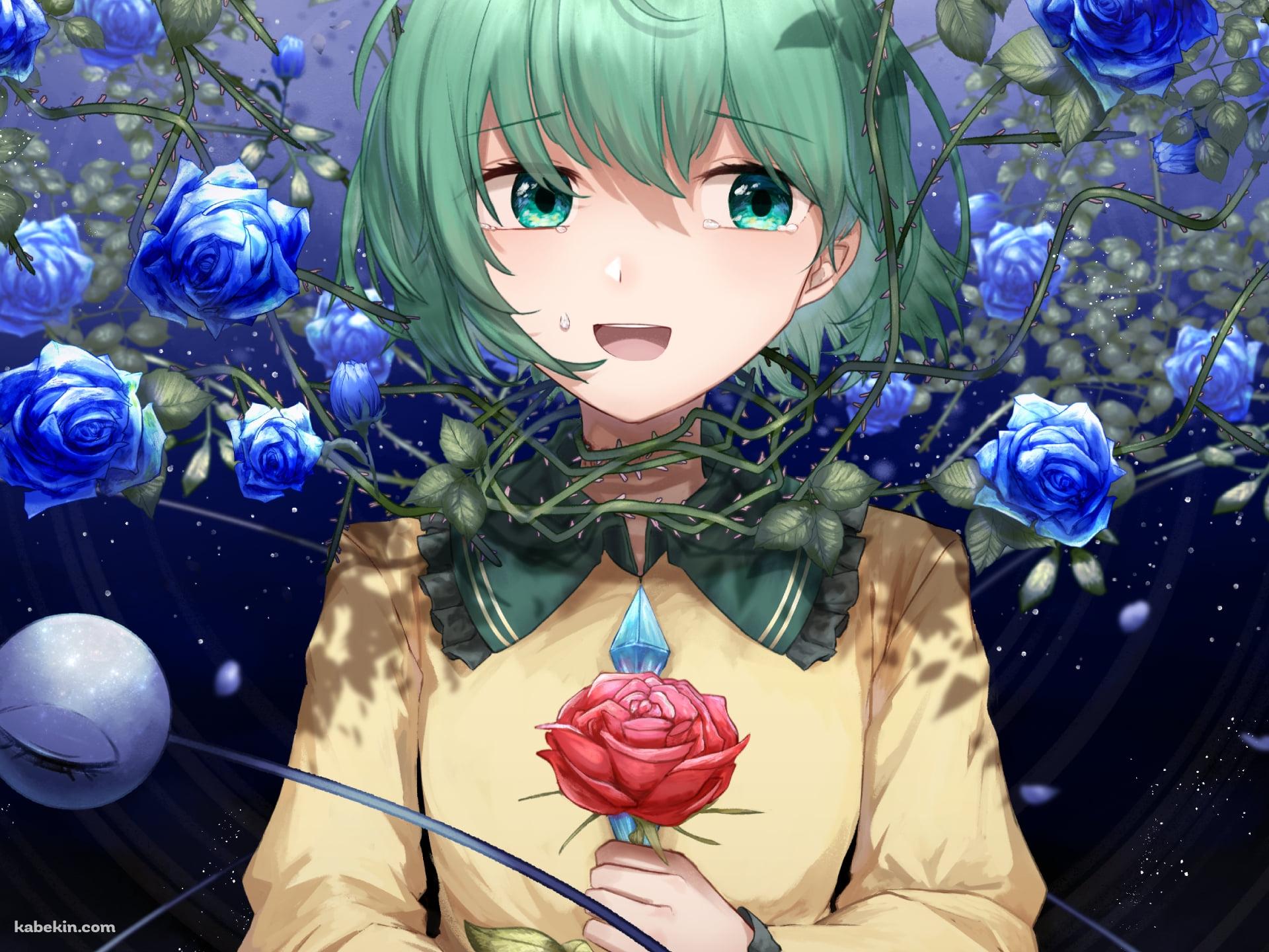 青い薔薇に囲まれた赤い薔薇を持つ古明地こいし / 東方の壁紙(1920px x 1440px) 高画質 PC・デスクトップ用