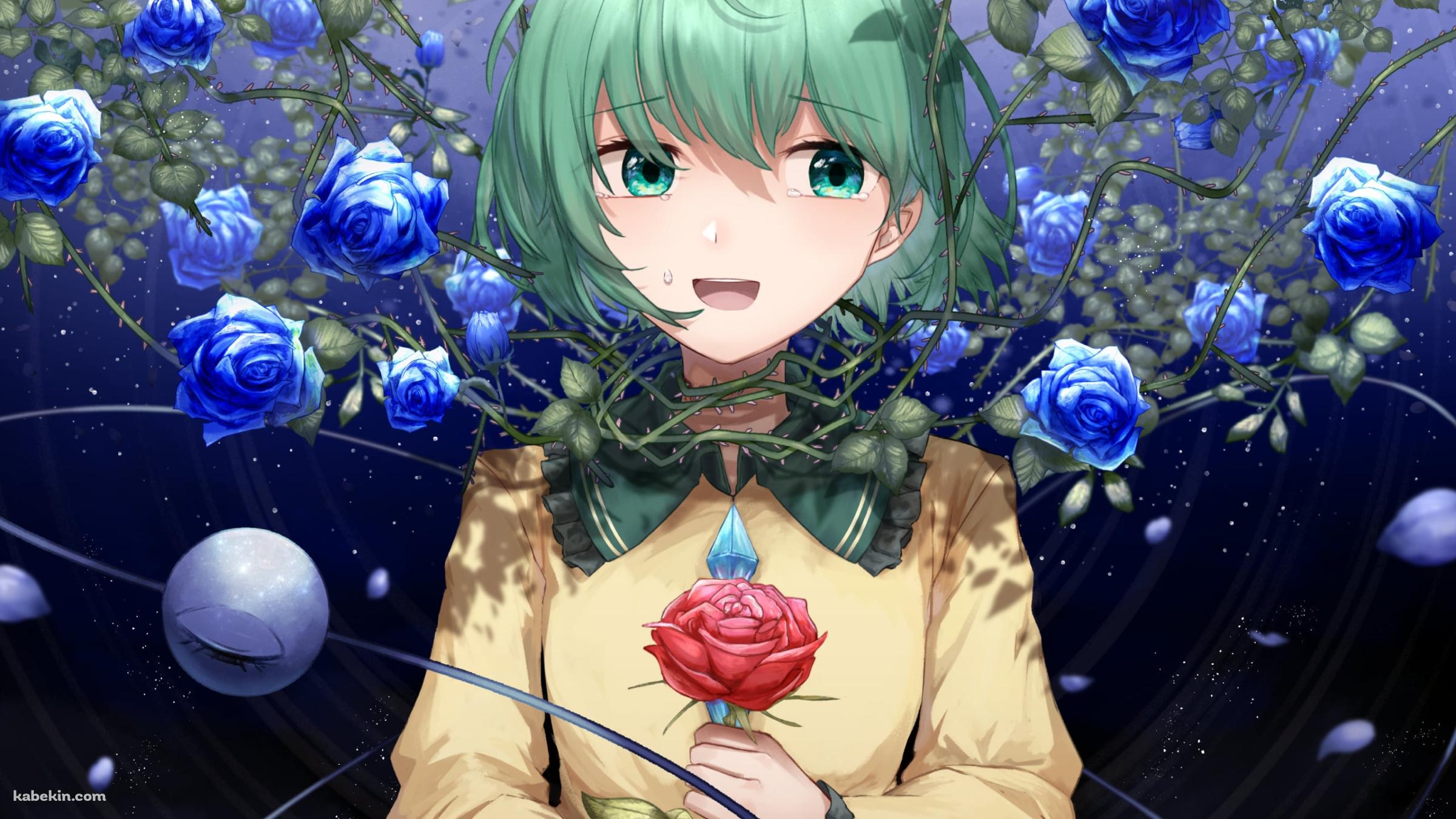 青い薔薇に囲まれた赤い薔薇を持つ古明地こいし / 東方の壁紙(2400px x 1350px) 高画質 PC・デスクトップ用
