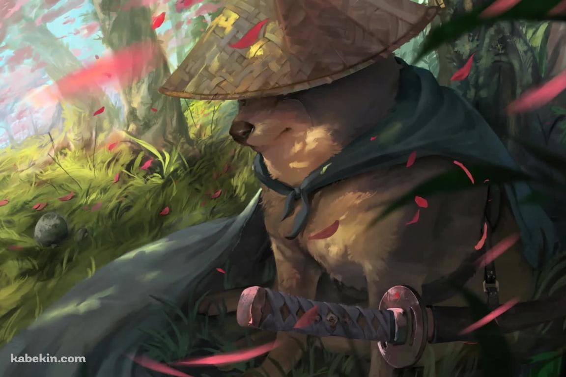 Samurai Dogeの壁紙(1152px x 768px) 高画質 PC・デスクトップ用