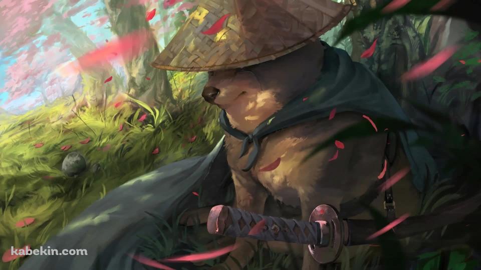 Samurai Dogeの壁紙(960px x 540px) 高画質 PC・デスクトップ用