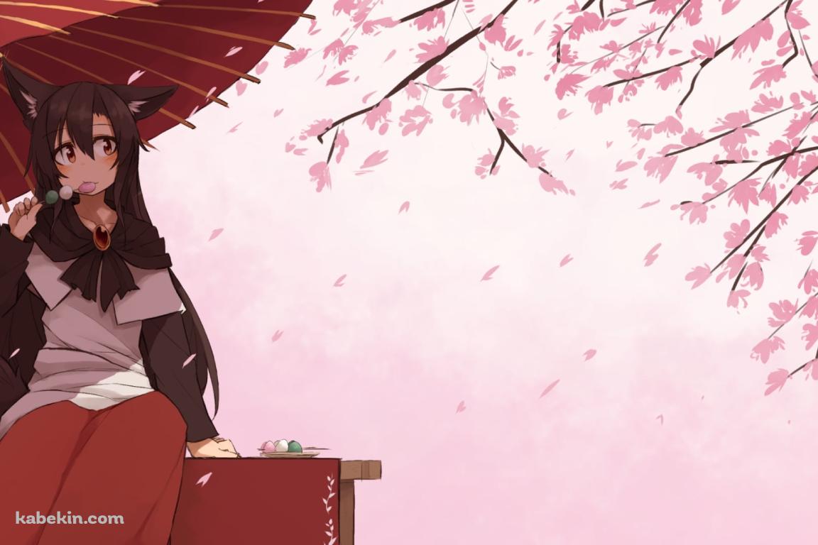 茶屋で三食団子を食べる可愛い今泉影狼（いまいずみ かげろう） / 桜 / 東方の壁紙(1152px x 768px) 高画質 PC・デスクトップ用