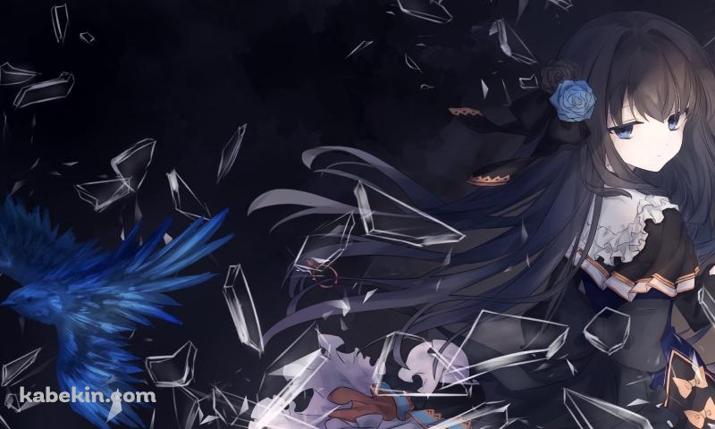 飛び散るガラスと青い鳥と対立 / アーケアの壁紙(800px x 480px) 高画質 PC・デスクトップ用